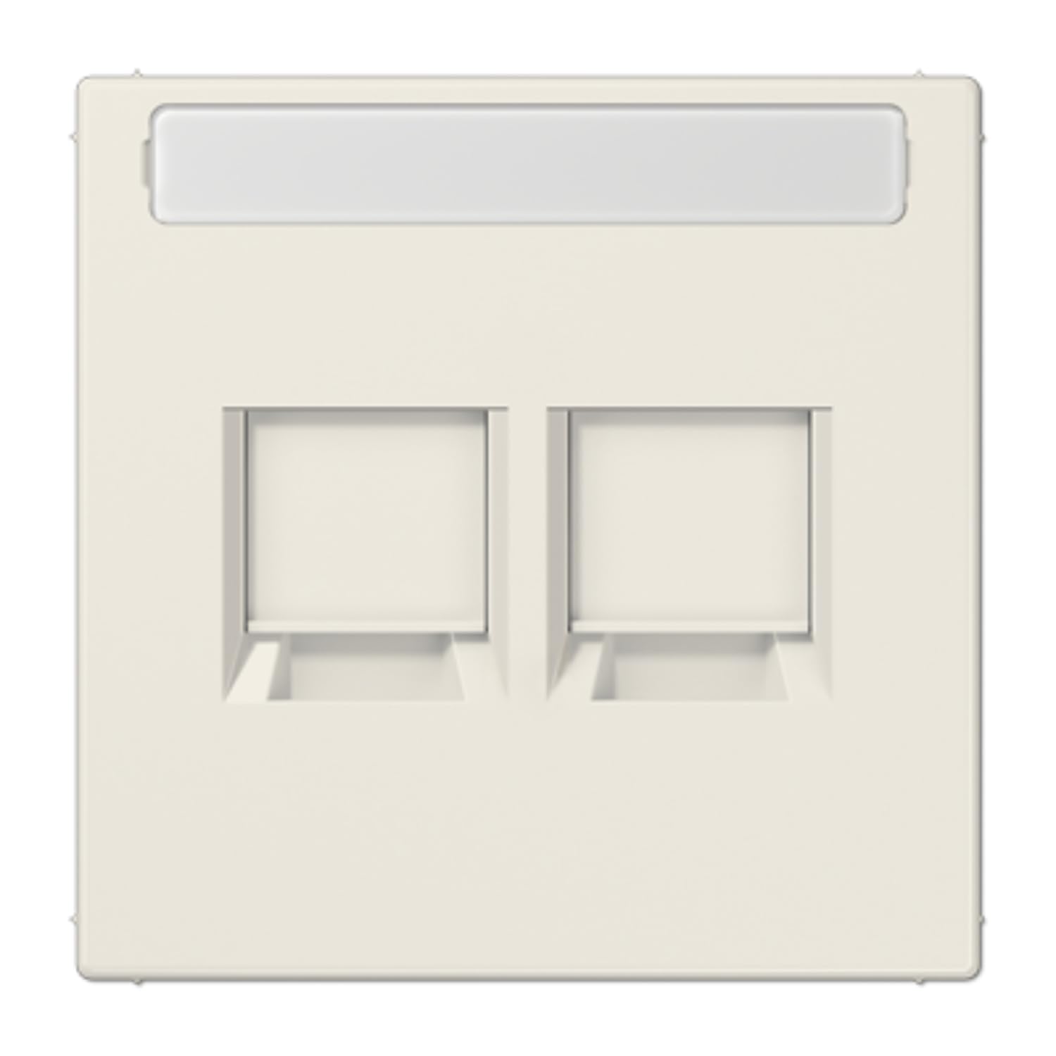 Plaque modulaire Jack AT&T 2 prises JUNG LS1969-2NAAT Blanc pour cloison