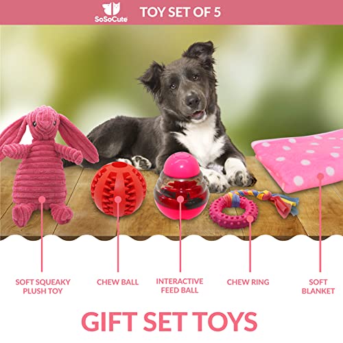 SoSoCute Pinke Hunde-Geschenkbox – Kauspielzeug für Welpen, Set mit 5 Stück – Welpenpflege-Paket mit Hundedecke, Gummi-Beißring, Ball zum Beißen und Leckerli-Ball für kleine und mittelgroße Hunde