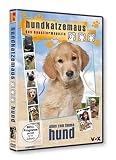 hundkatzemaus - Alles zum Thema Hund