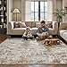 tchdio Area Rug 5x7 Rugs for Living Room- Abstract Soft Living Room Rug-Non Slip Carpet-Machine Washable Rug for Bedroom Dining Room Home Office Modern Rugs Light Grey/Brown/Beige
