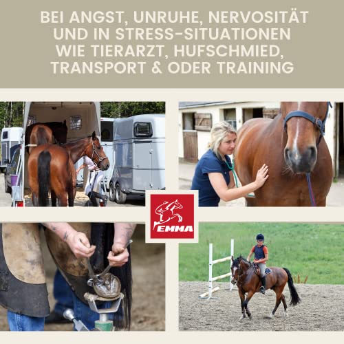 Magnesium Pferd Pulver & Paste mit Vitamin E für Pferde 1Kg 30ml Zusatzfutter Calm Horse Relax zur Entspannung Nerven Beruhigung Pferd Mittel Anti Stress Angst I Tryptophan Pferde Magnesium komplex