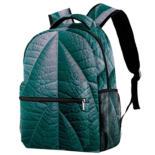 Sac à dos de voyage ergonomique avec porte-gourde et imprimé feuillage pour l'école