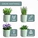 Barnyard Designs Indoor Herb Garden Planter Set with Tray, Metal Windowsill Plant Pots with Drainage for Outdoor or Indoor Plants, Set/3 (Soft Mint)