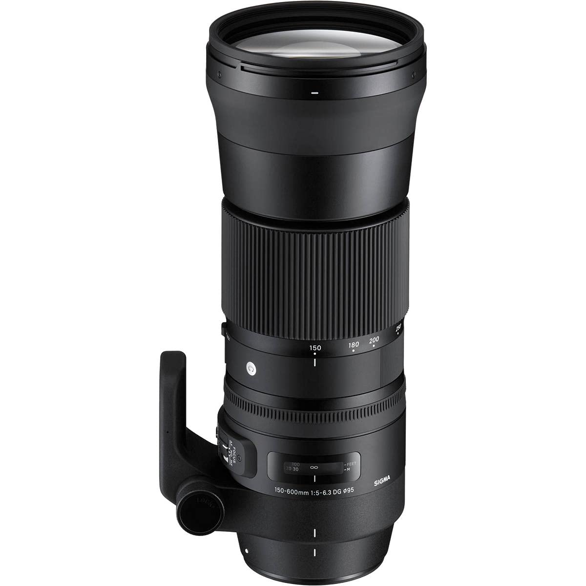 Amazon.co.jp: SIGMA 150-600mm F5-6.3 DG OS HSM | Contemporary C015