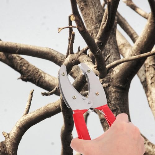 Tijeras TEHAUX para corte preciso de corteza miniatura 6