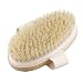 LEORX Piel seca madera cuerpo cepillo con cerdas naturales