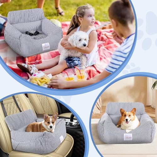 CALIYO Hundeautositz mit Stabiler Basis & Sicherheitsgurt | Hundesitz Auto für Kleine bis 10 kg | Memory Foam-Sitzauflage | Wasserdichter, Abwaschbarer Hundekorb mit Aufbewahrungstasche (Blau/Weiß)