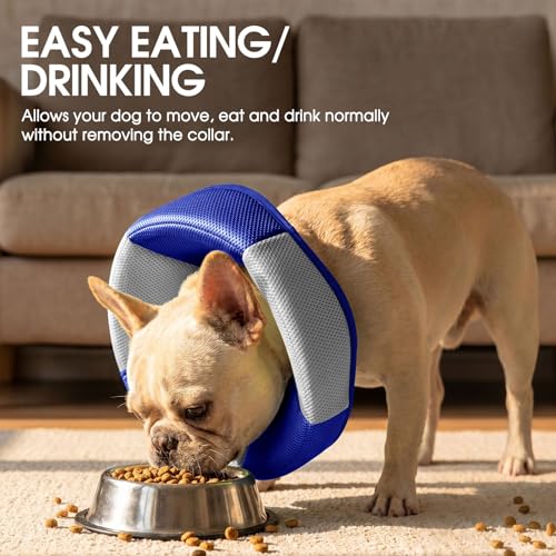Image of Dog Cone - Soft Cone for Dogs to Stop Licking, Pet E-Collar Alternative After Surgery, Adjustable Pet Recovery Collar for Wound Healing, Blue Small