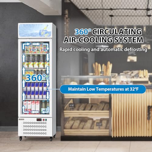 Image of Garvee Commercial Beverage Display Refrigerator 11.3Cu.Ft