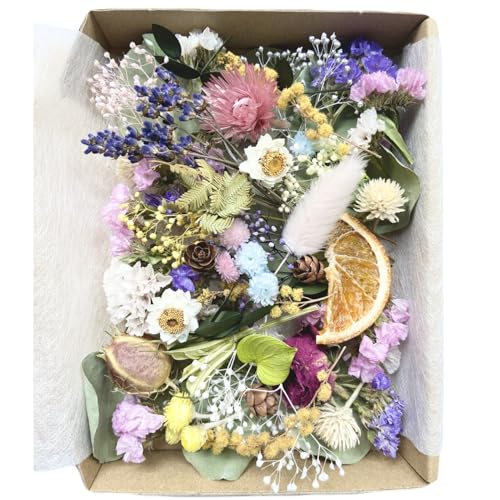 【ナチュラルドライフラワー詰め合わせ】ボタニカルキャンドル　ハーバリウム　ハンドメイド　カラフル　花材セット - 花材ショップmomo - 商品画像