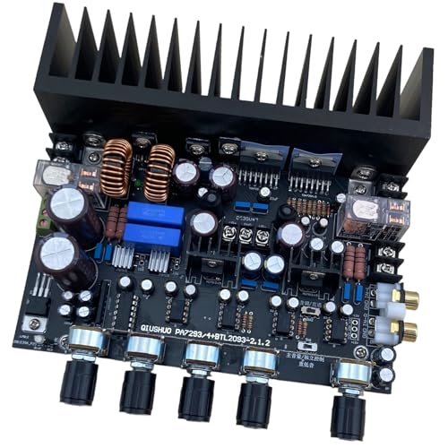 Amplificateur de caisson de basses 200W contre la surchauffe