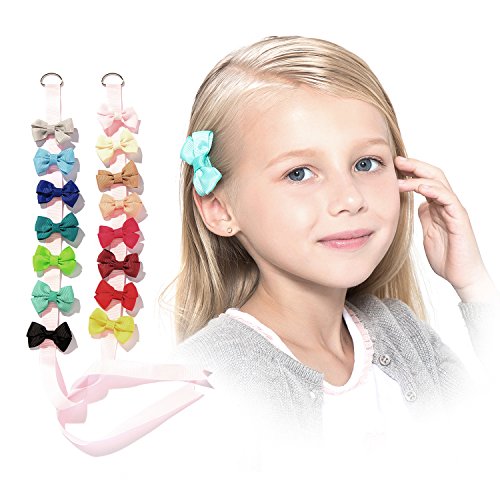 HBY 30 pcs: Boutique Baby Girls Toddler Hair Bow Snap Alligator Clips, Barrettes with holders