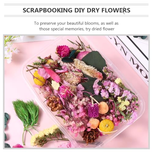 Materiales DIY Flores Secas, Set 6 Cajas Multicolor miniatura 6
