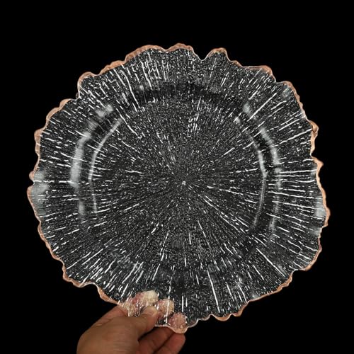 25 platos cargadores transparentes redondos 12 pulg miniatura 5