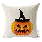 Yo-You Cute Home Decorative Pillowcase 18x18 Throw Pillow Cover (AA1)