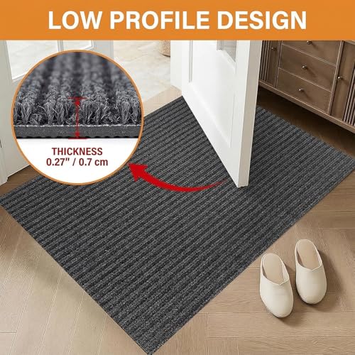 Tapis entrée intérieur antidérapant pour maison propre