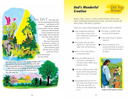 The Picture Bible - Image 2