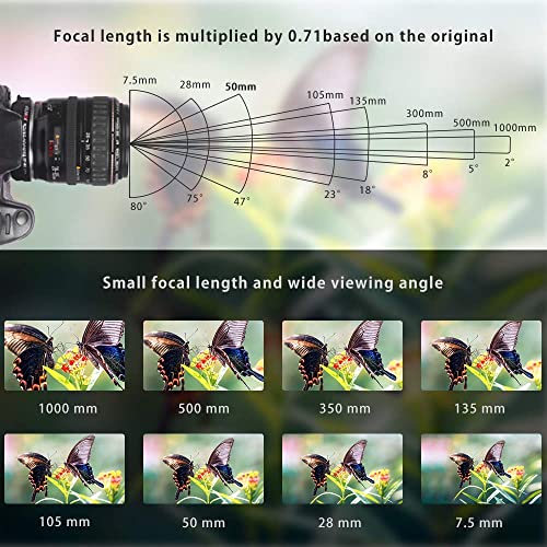 Image of VILTROX EF-M2II Lens Adapter, EF to M4 /3 Mount Auto-Focus Speed Booster Adapter for GH6 GH5M2 BMPCC 4K GH4 GH5 G100 G95 G85 OM-1 EM-1 E-M1X E-M1 iii E-M5 iii E-M10 iv E-M10 iii