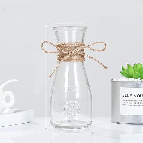 Vasi in vetro per fiori con corda di spago, piccolo vaso da fiori in vetro trasparente, vaso per fiori per bulbi di giacinto, avocado, vasi per germogli per casa e ufficio centrotavola da tavolo