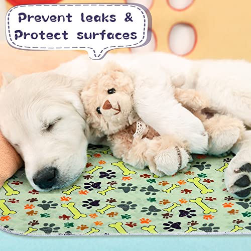 Photect 6 Tappetini Assorbenti Impermeabile per