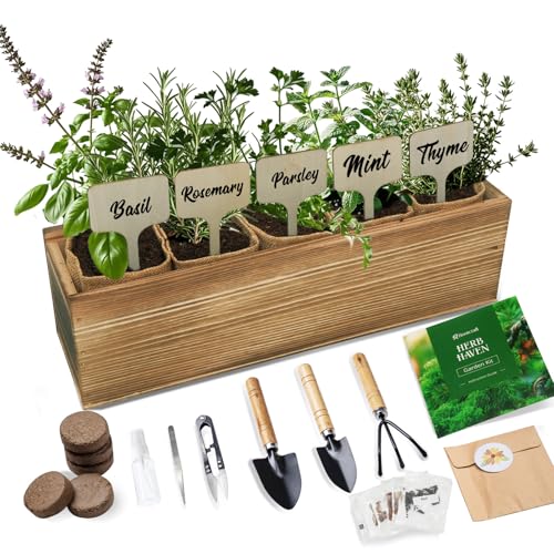 5 Herb Garden Planter Indoor with Wooden Box, Home Kitchen Seed S...