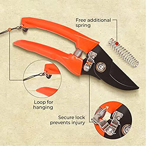 Kraft Seeds Assorted Hand Pruner Cutter - 1 Pc (Steel Blades) | Heavy Duty Gardening Cutter Tool | Plant Cutter for Home Garden | Wood Branch Trimmer | Grass Cutting Accessories | Sturdy Stem Scissors