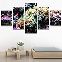 SIGNWIN 5 Panel Canvas Wall Art Group Jellyfish Marine Life Multicolor Photography Realism Tropical Ultra Whimsical for Home Decorations Ready to Hang - 60
