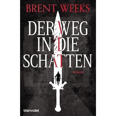 Der Weg in die Schatten: Roman