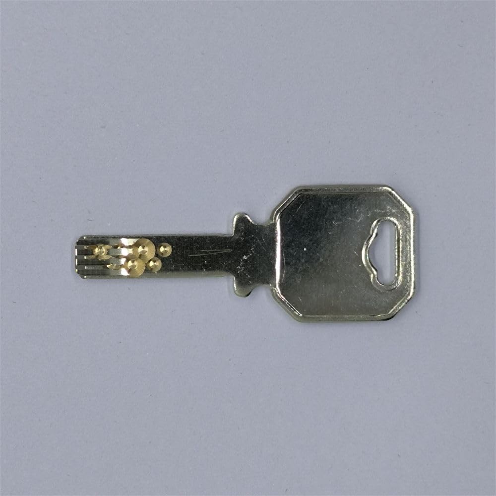 1 PZ TSA006 Chiave Adatto per Rimowa Bagaglio Doganale TSA006 Lock