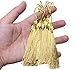Tupalizy Mini Silky Handmade Soft Flossy Bookmark Tassels with Cord Loop for Keychain Earring Jewelry Making, Souvenir, Graduation, Clothing Sewing, Gift Tag DIY Craft Projects, 20PCS (Light Gold)