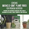 Miracle-Gro Succulent Potting Mix, For Indoor Succulents, Aloe Vera and More, Made with Miracle-Gro Plant Food, 4 qt #4