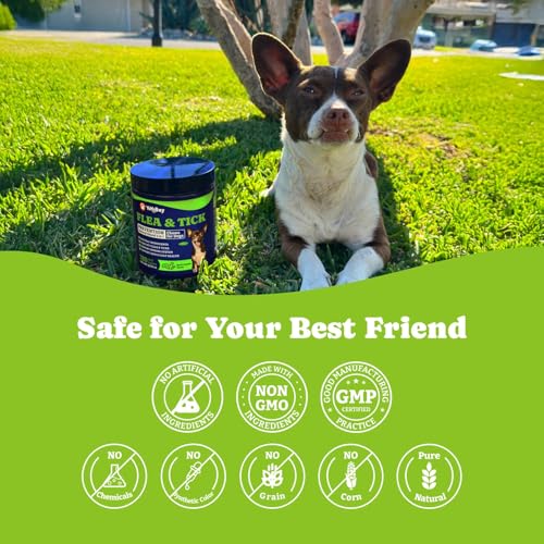 Image of Flea & Tick Prevention for Dogs Chewables,Oral Flea Pills, Dogs Supplement | Natural Dog Flea and Tick Control Treatment, Natural Shield 5-in-1 Protection, Beef & Carrot Flavor, 180 Soft Chews