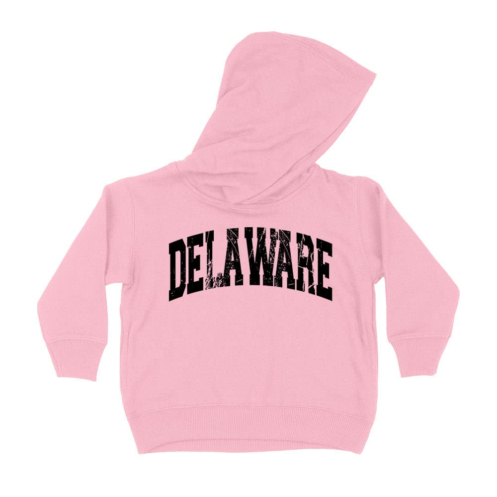 Distressed Delaware Collegiate Kids Hoodie Sweatshirt Toddler 2T Light Pink