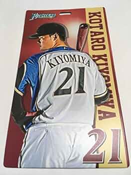 51JdsZgccyL._AC_UF350,