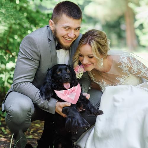 Hundesmoking, Hundehochzeit Bandana Kragen mit Fliege Hundekostüme kleine Hunde Hundesmoking für kleine Hunde Hundeanzug Kostüm für Hunde Hochzeit, Verlobung, und Geburtstag (Hals:20-30cm/Pink)