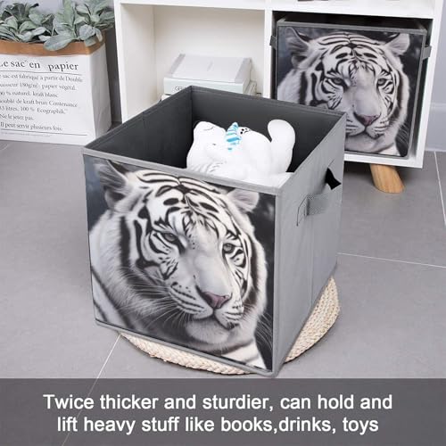 Boîtes de rangement haut de gamme tigre blanc | Set de 6 cubes