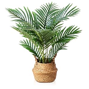 LOMANTO Fake Majesty Palm Plant 2Ft Artificial Plants for Home Decor Indoor Small Faux Trees in Pot Fake Tropical Plants for Housewarming Gift 1Pack