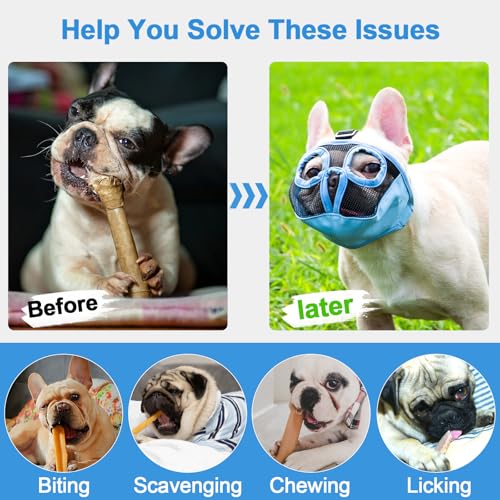 Image of Short Snout Dog Muzzles- Adjustable Breathable Mesh Bulldog Muzzle for Biting Chewing Training Grooming Dog Mask,Blue M