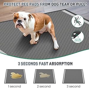 Odor-Control Super Absorbency Charcoal Puppy Pads, Jumbo Size 36″x36″ Leak-Proof Pet Training Pee Pads with Adhesive Sticky Tape, Disposable Potty Pads for Dogs Cats, Rabbits
