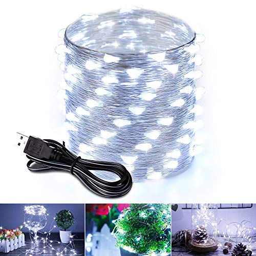 zerproc Guirlande Lumineuse 10M 100LED USB en Cuivre Imperméable IP65 Lumière Lumières Parfaite Bon Rendu Romantique pour Décoration Intérieure Extérieure (Lumière Blanc)
