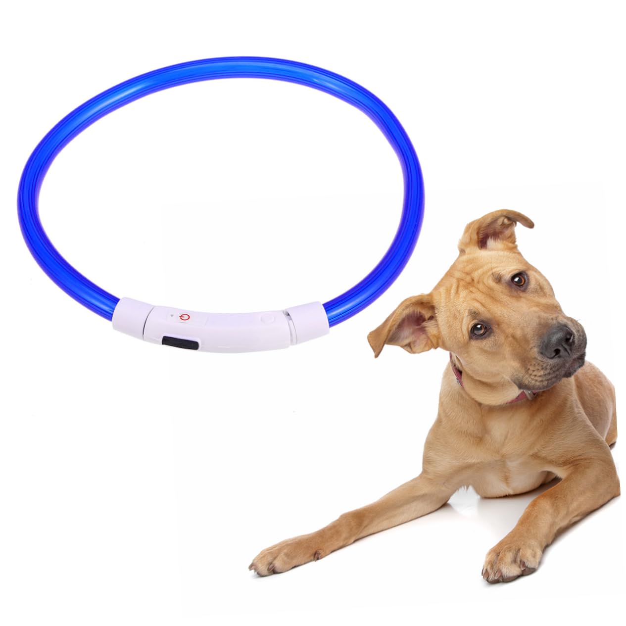 BESPORTBLE 3pièces Collier LED Et Rechargeable pour Chien Collier Lumineux Étanche avec Modes Clignotants pour Sécurité Bleu