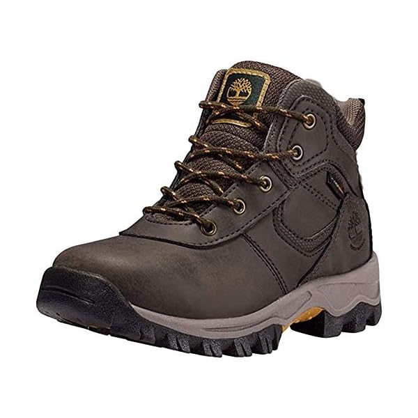 Timberland Kids Mt. Maddsen Hiking Boot, Dark Brown, 1 M US Little Kid