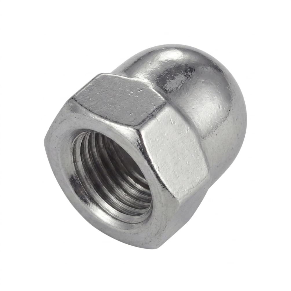 25 dadi ciechi M20 mm, DIN 1587, UNI 5721, in acciaio inox A4, D-Work