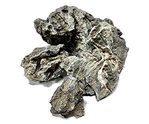 Amazon | 水槽装飾 青龍石 形状お任せ4個 70-150mm (約1800g  