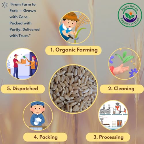 Image of Eywa Seeds & Exports Pvt Ltd Organic Sharbati Wheat Flour (1 Kg) For Eating And Cooking | Sarbati Gehu Atta | Produce Of India From Organic Farms