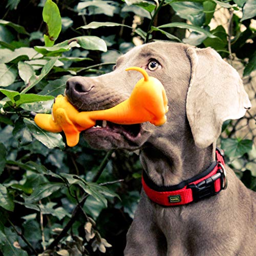 Seta Y Co Classic Perro, 17u00a0x 8u00a0x 7u00a0cm, Grande