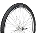 Blackburn Mountain Bike Tire 26