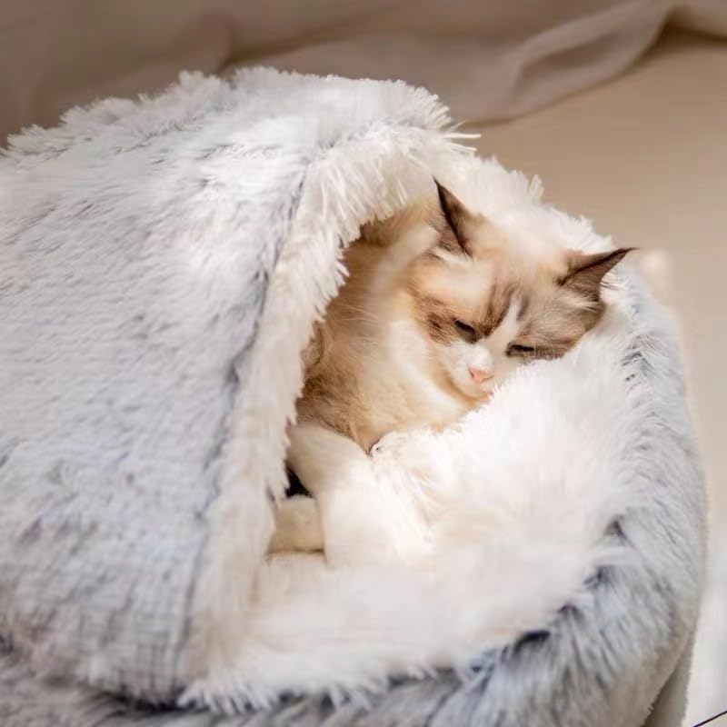 Beds for Small Dogs - Image 6