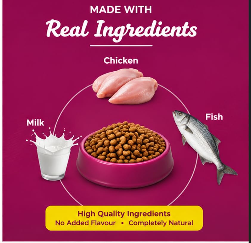 INVIGRO Fish & Milk High Protein Kitten Dry Food 1kg - Complete & Balanced Nutrition -Supports Muscle Strength, Digestion & Healthy Coat 2