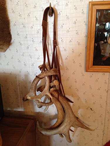 Dokken Shed Dog Leather Rack Strap Shed Dog Trainer Sa-Lrs #TOP3